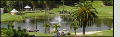 Cheap Bermuda Cruises
