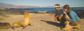 Galapagos Cruises on National Geographic Endeavour