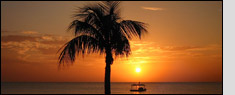 Cheap Cruises from Galveston