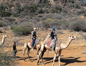 Abercrombie and Kent Africa tours