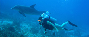 Fantastic Scuba Diving Program