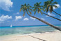 Caribbean Vacations