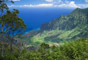 Hawaii Vacations