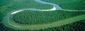 Amazon River Cruises on Aria