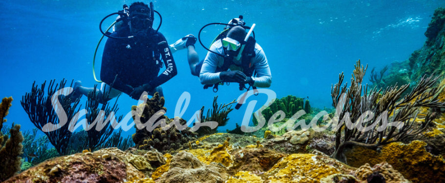 Unlimited Scuba Diving