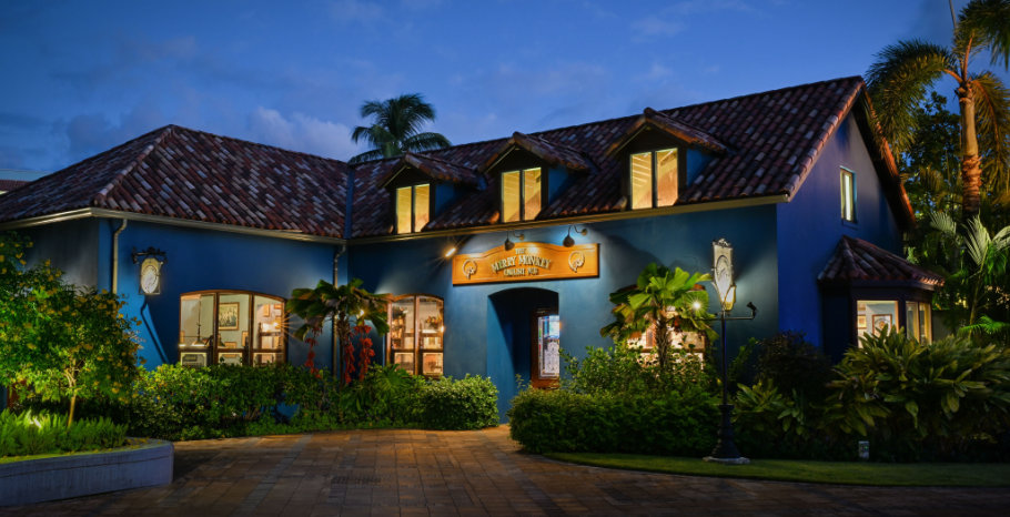 The Drunk Monkey Pub