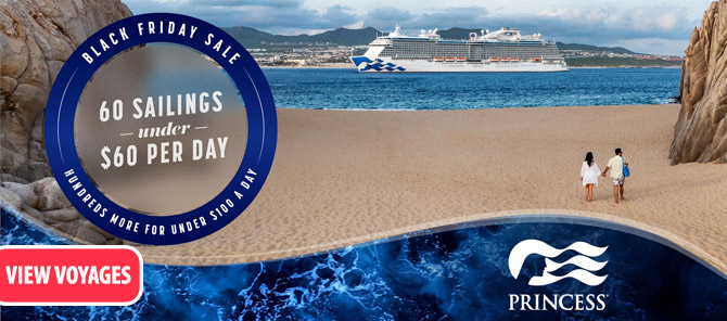 Princess Black Friday/Cyber Monday Offer